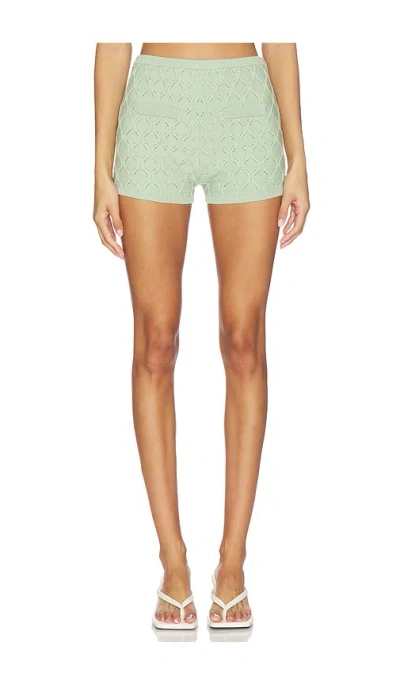 Devon Windsor Rhea Short In Green