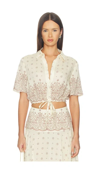 Devon Windsor Rosie Top Crete In White