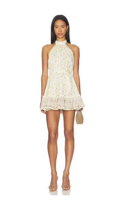 Devon Windsor Selma Dress In Brown