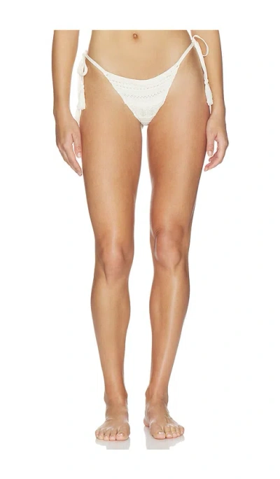 Devon Windsor Vallie Bikini Bottom In White