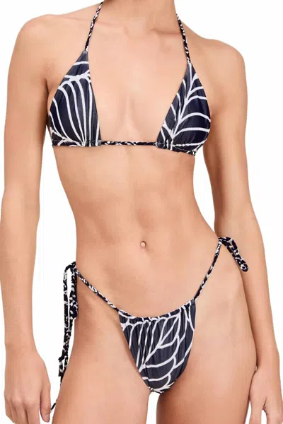 Devon Windsor Whit Bikini Bottom In Navy Palm In Multi