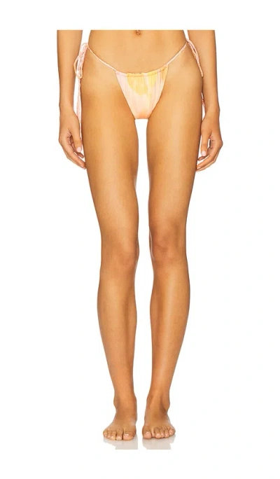 Devon Windsor Whit Bikini Bottom In Multi