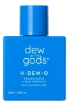 Dew Of The Gods H-dew-o Heaven Water + Blue Spirulina Daily Gel Moisturizer In Transparent