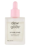 Dew Of The Gods Hyablend Hyaluronic Acid Daily Glow Oil In No Color