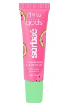 Dew Of The Gods Sorbaé Hyaluronic Lip Butter