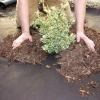 Dewitt Barrier Pro Landscape Edging