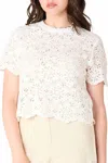 Dex Amelia Crochet Crop Top In White In White