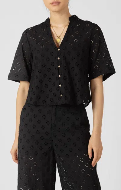 Dex Cutwork Embroidery Blouse In Black In Multi
