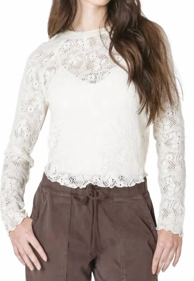 Dex Exposed Seam Lace Top In Natural In White