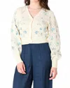 Dex Floral Pointelle Embroidered Cardigan In Blue In White