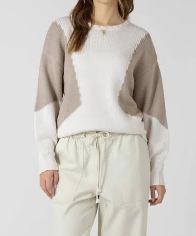 Dex Long Sleeve Crew Neck Top In Natural/fawn Colorblock In Multi