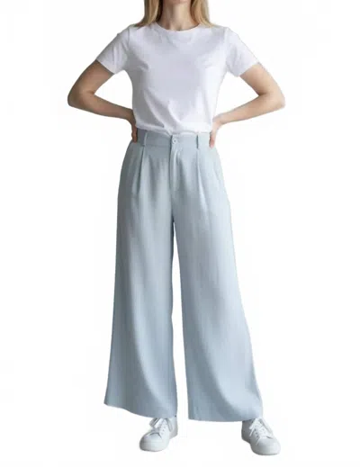 Dex Pleated Detail Elastic Back Wide Leg Pants In Dove Grey In Gray