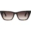 Dezi Gato 55mm Cat Eye Sunglasses In Tort/brown Gradient