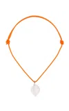 Dezso By Sara Beltran 18k Yellow Gold Rose Quartz Cowry Shell Necklace In Pink