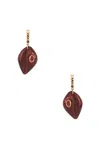 Dezso By Sara Beltr?n Classic Carved Cowry Earrings In Red Tiger Eye