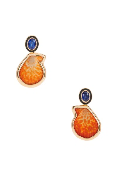 Dezso By Sara Beltr?n Palm Beach Clam Kyanite Earrings In Natural Orange