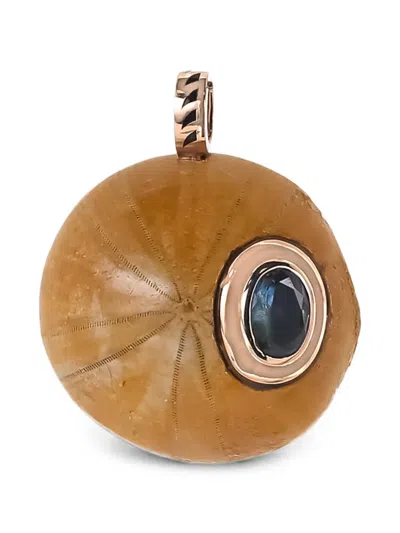 Dezso Fossilized Sand-dollar Aquamarine Pendant In Brown