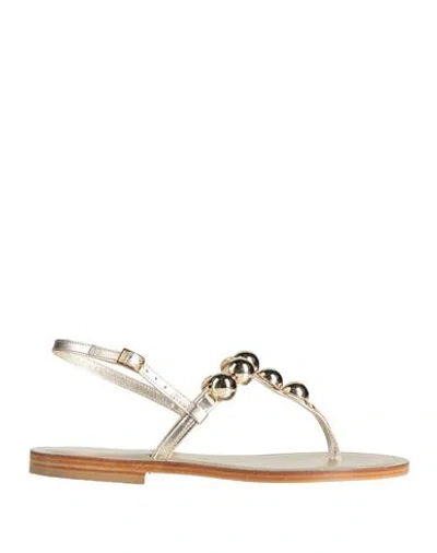 Dg Positano Woman Thong Sandal Gold Size 8 Leather