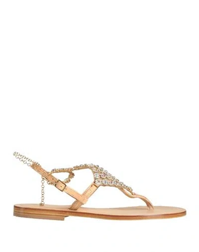 Dg Positano Woman Thong Sandal Sand Size 8 Leather