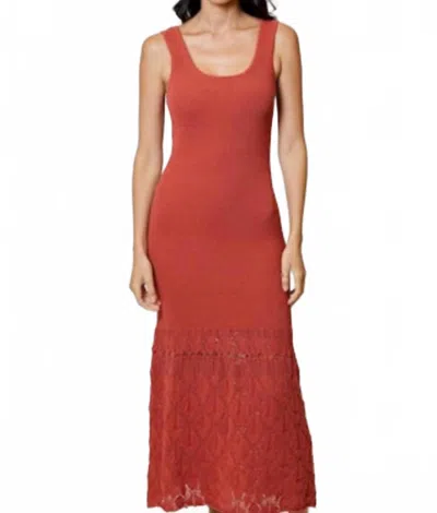 Dh New York Arabella Maxi Dress In Copper In Multi