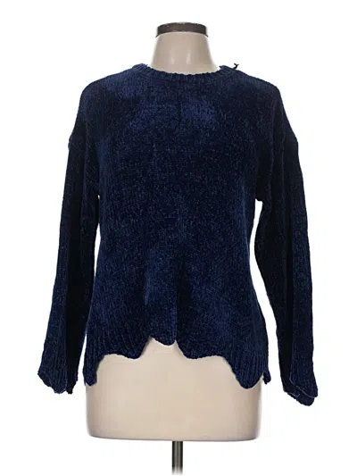 Pre-owned Dh New York Pullover Sweater In Blue