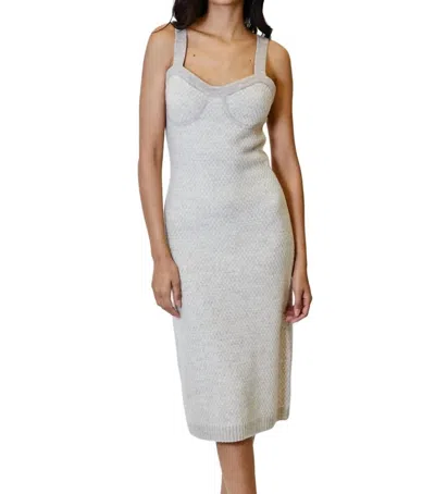 Dh New York Serena Dress In Beige In Neutral