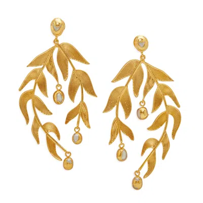 Dhwani Bansal Women's Gold / White Gold Sooki Chandelier Earrings With Baroque Pearls