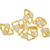 Dhwani Bhansal Gaia Brooch In Gold Plated