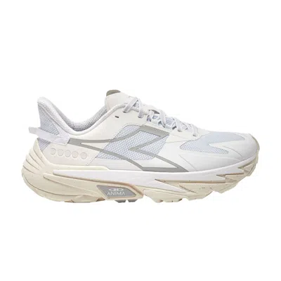 Pre-owned Diadora Equipe Sestriere Xt 'white Silver'