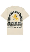Diamond Cross Ranch Address Tee In Cream