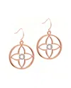 Diamond Select Cuts 0.05 Ct. Tw. Diamond 14k Rose Gold Earrings