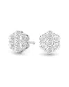 Diamond Select Cuts 14k 0.5 Ct. Tw. Diamond Earrings