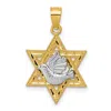Diamond2deal 14k Two-tone Gold Textured Dove On Star Of David Pendant In Multi