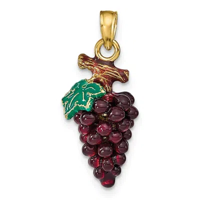 Diamond2deal 14k Yellow Gold 3-d Purple And Green Enameled Grapes With Stem And Leaf Charm Pendant In Multi