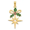 Diamond2deal 14k Yellow Gold Epoxy Holly And North Star Pendant In Yellow
