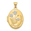 Diamond2deal 14k Yellow Gold With Rhodium 21mm Oval Granddaughter Locket Pendant In Yellow