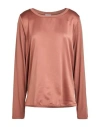 Diana Gallesi Woman Top Brown Size 12 Viscose, Elastane, Polyester