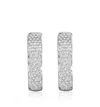 Diana M. Diamond Earrings In Silver