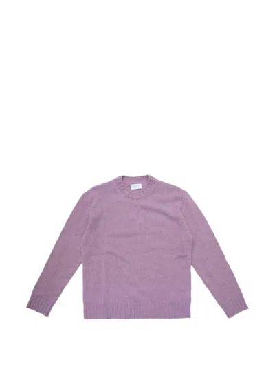 Diana Studio Crew-neck Ribbed Sweater In Purple