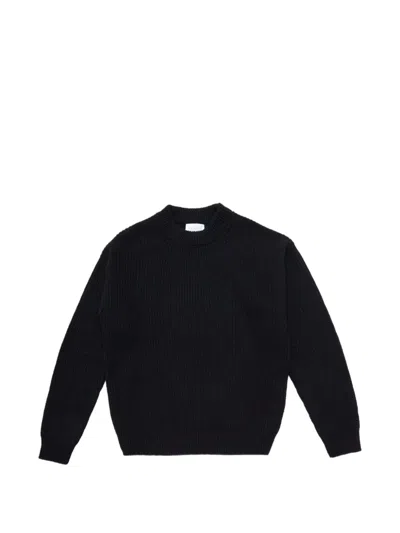 Diana Studio Ribbed-knit Crew-neck Sweater In Black