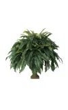 Diane James Designs Boston Fern In Mossy Terracotta Urn In Dark Green