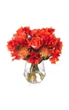 Diane James Designs Bougainvillea; Roses And Protea In Glass Vase In Orange
