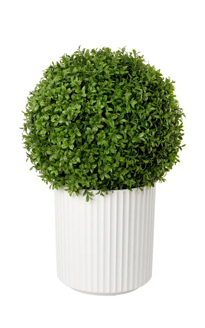 Diane James Designs - Boxwood Topiary Ball In White Planter - Green -
