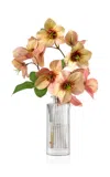 Diane James Designs Coral Hellebore In Bud Vase In Transparent