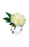 Diane James Designs Cream Peony Vase In White