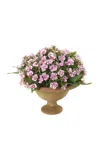 Diane James Designs Dainthus In Mossy Bowl In Purple