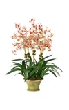 Diane James Designs Dendrobium Orchid In Mossy Planter In Multi