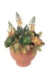 Diane James Designs Echeveria In Terra Cotta Planter In Orange