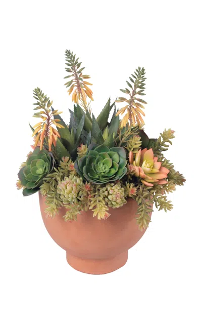 Diane James Designs Echeveria In Terra Cotta Planter In Orange