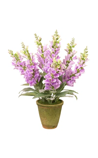 Diane James Designs Foxglove In Mossy Planter In Purple